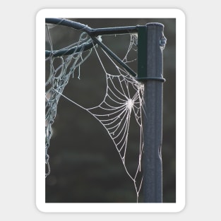 Frosty cobweb Sticker